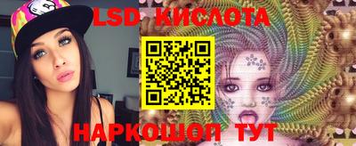 крисы Дмитров