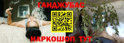 крисы Дмитров