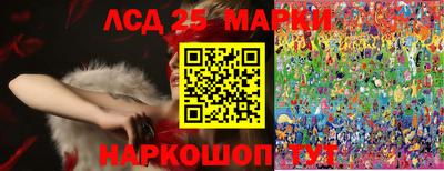 крисы Дмитров
