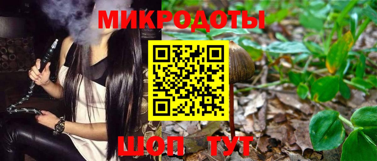 Псилоцибиновые грибы Таганрог